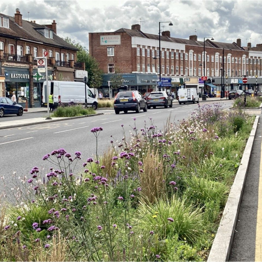 View of a city street with sidewalk planters